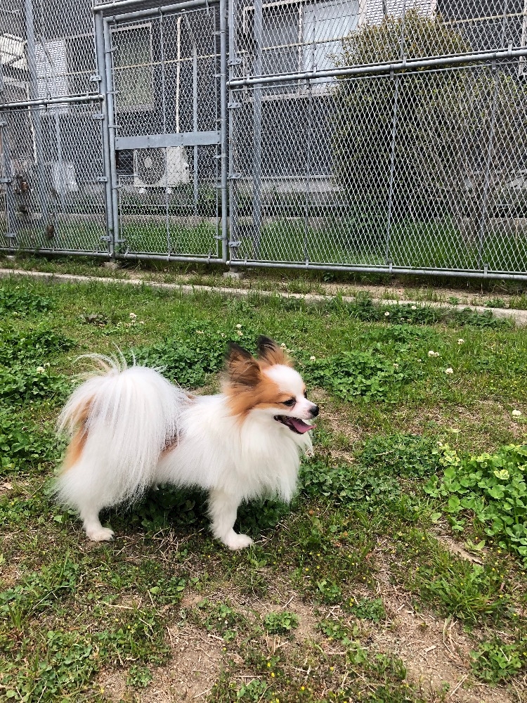 CLUB CARA (朝)日記1332472