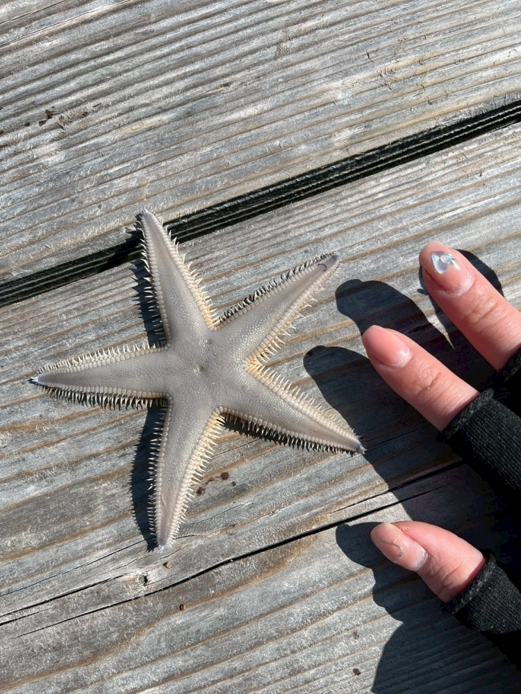 CLUB ONE CHAN -北新地店-日記1609755