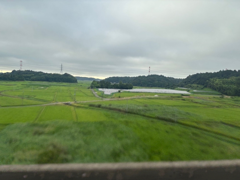 一条 葵