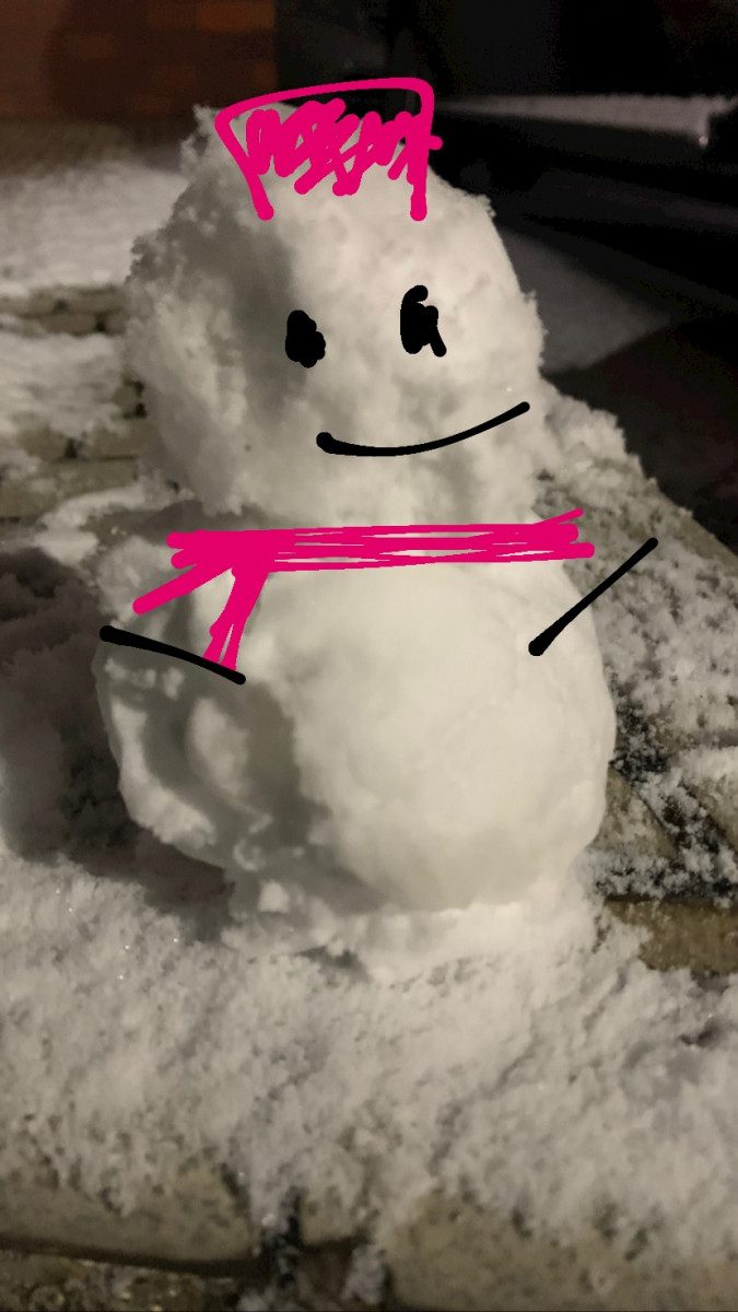 NADESHIKO日記848938