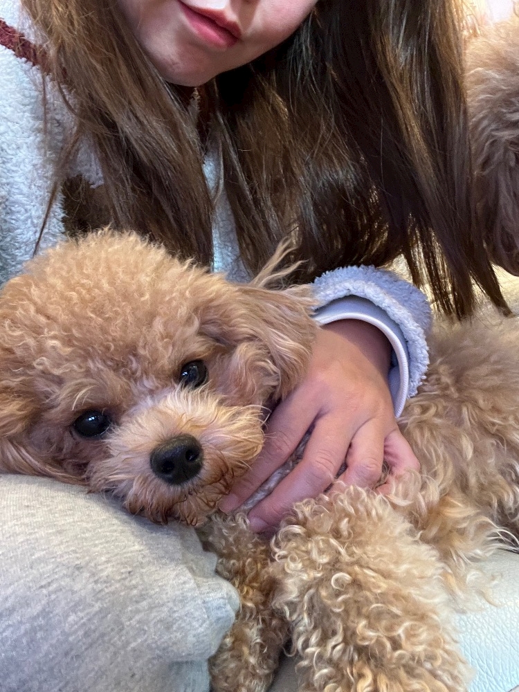 おかえりなさい日記1548999