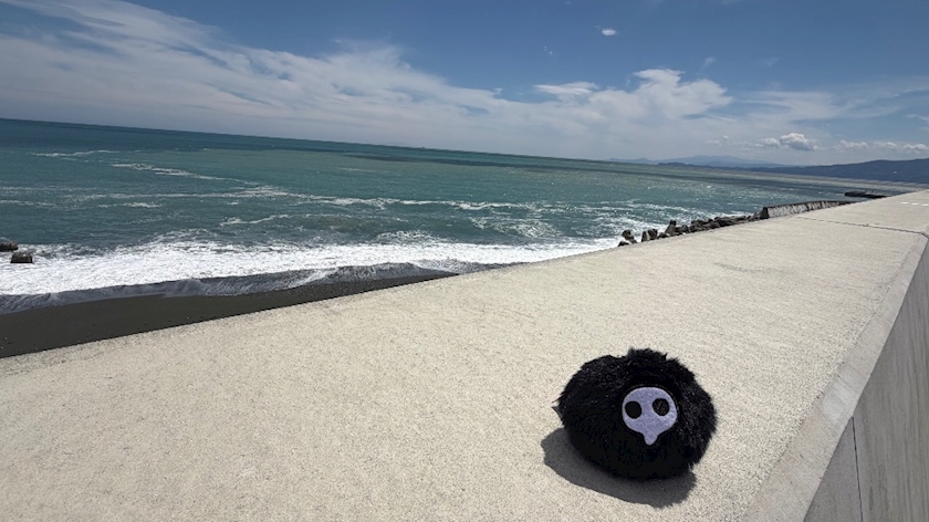 一条 葵