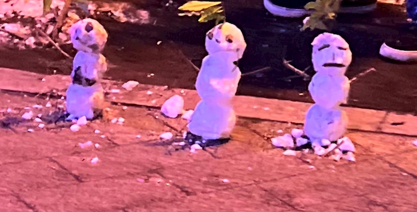 Vivienne日記1588610