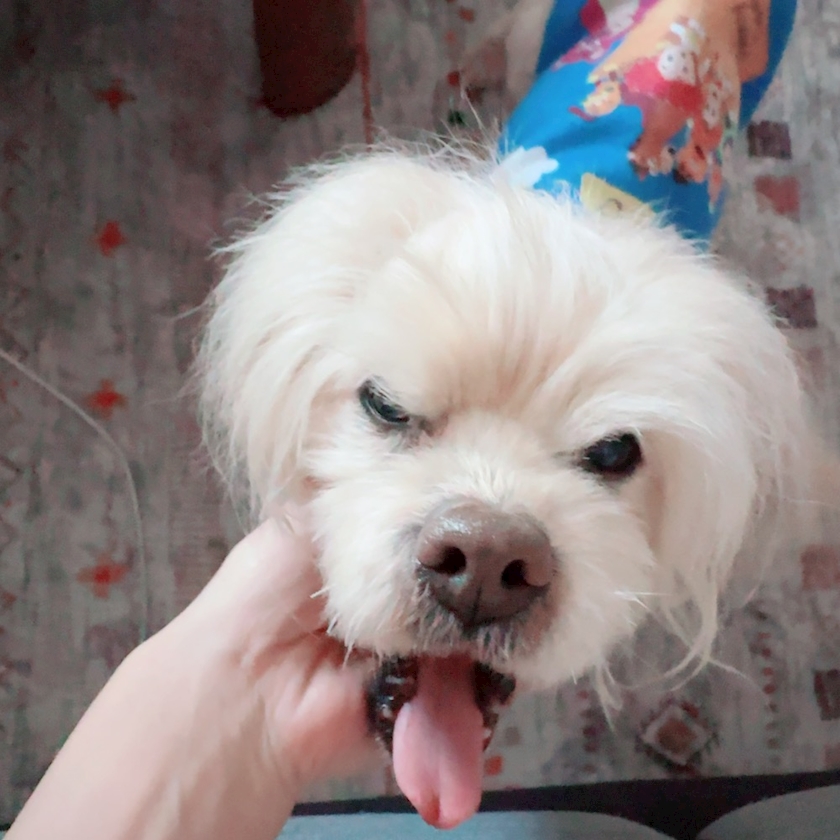 CLUB ONE CHAN 梅田堂山店日記1556599