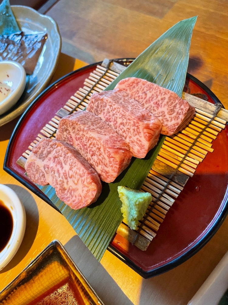 一条 葵