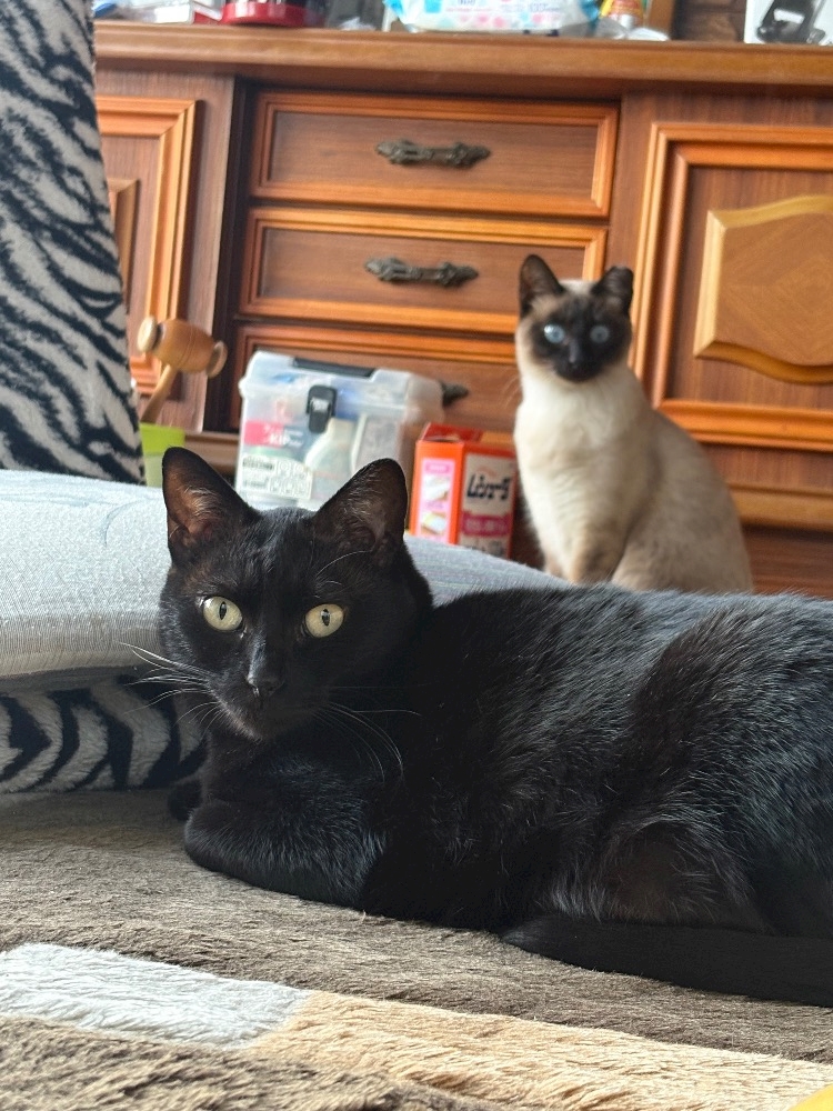 Girlsbar  Last Party日記1615591