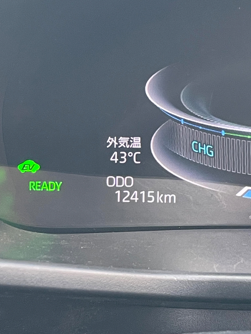 一条 葵