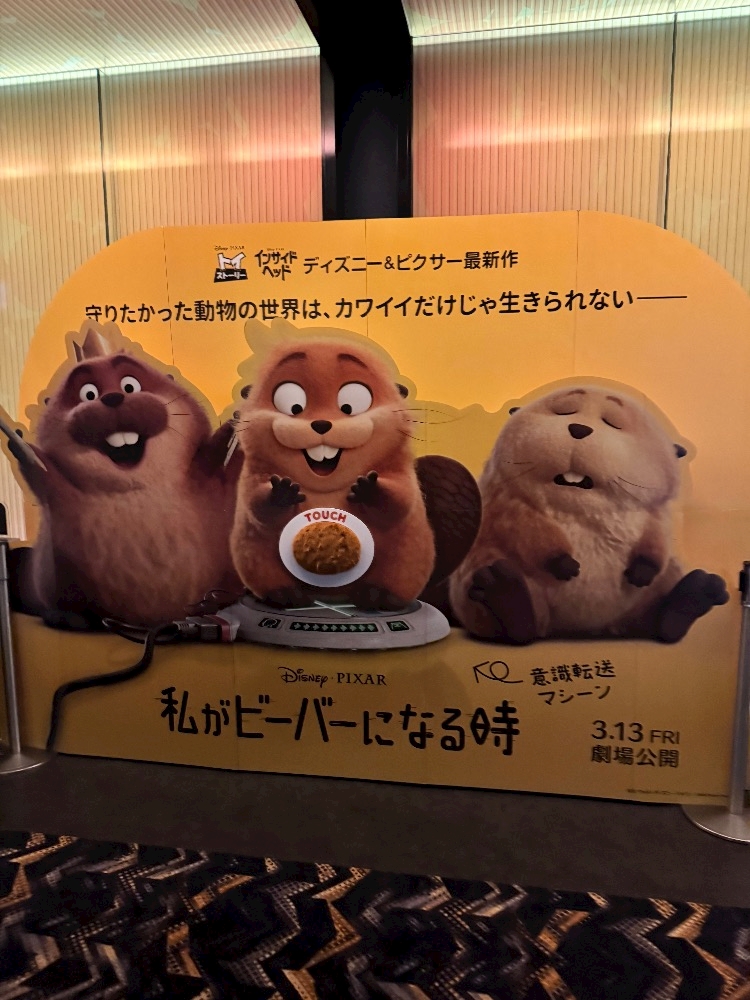 クラブカゲロウ・錦日記1622218