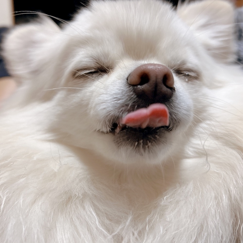 ママ七瀬　あや