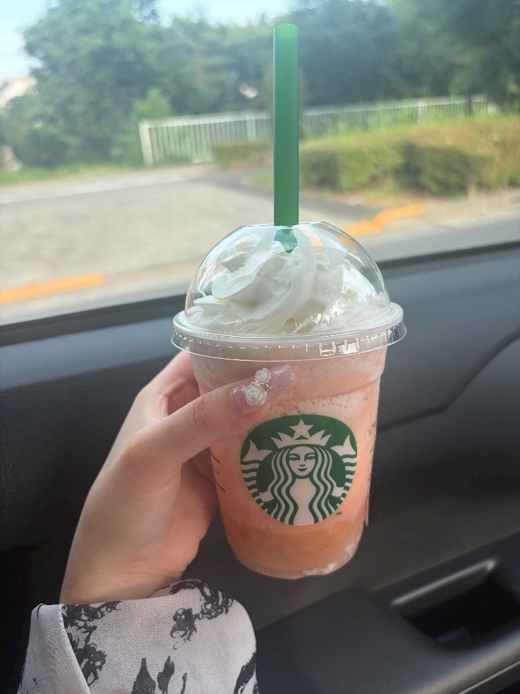 一条 葵
