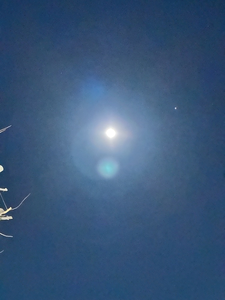 ThePARIS日記1582358