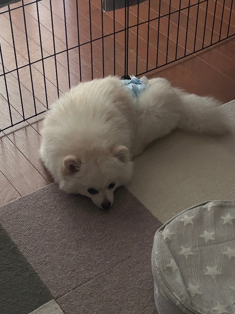 ママ七瀬　あや