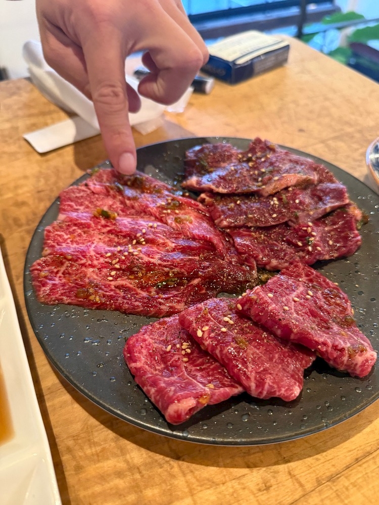 一条 葵