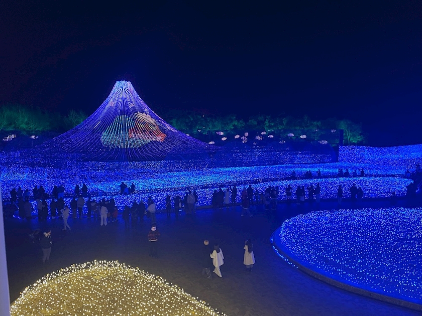 一条 葵