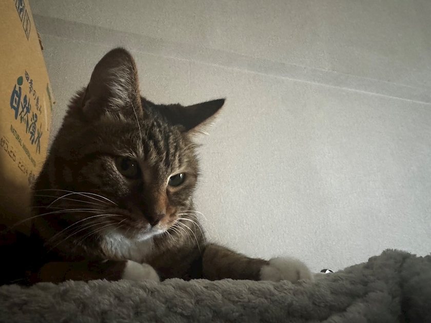 西船橋 VELLUGUE日記1523110