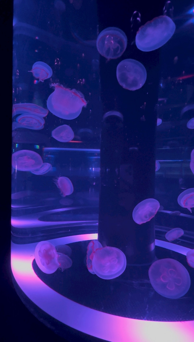 Bar Space Queen日記1621726