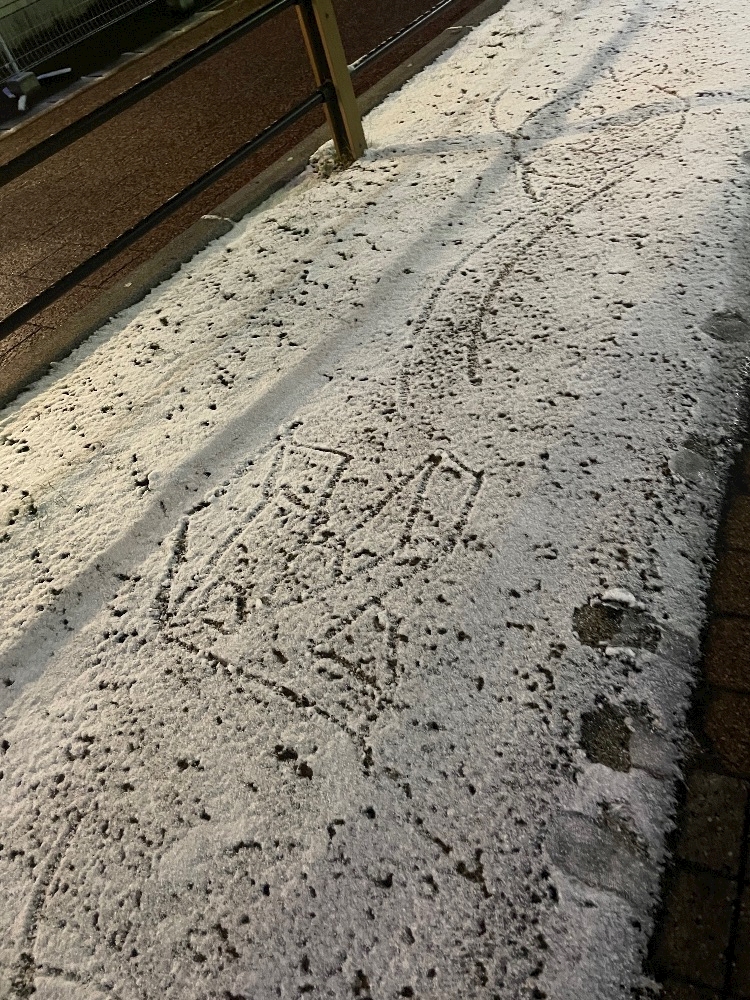 雪だーーーー⛄️
