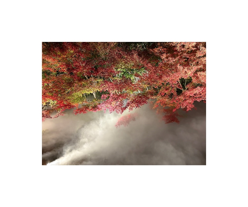 Bar Lounge 莉音　彦根駅前店日記1538847