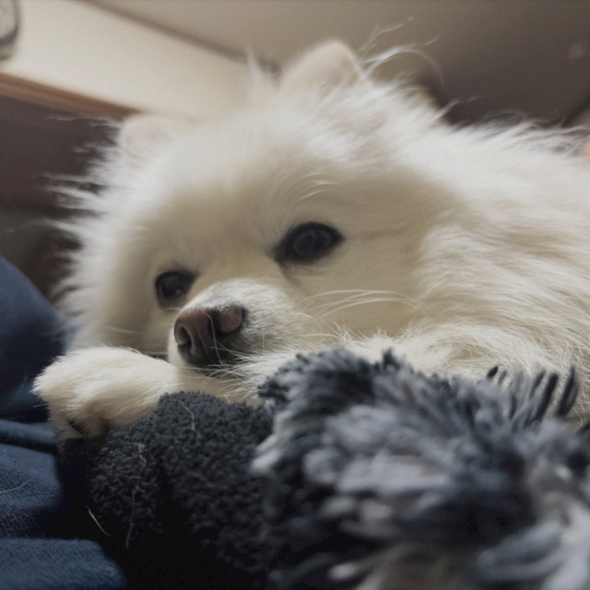 LOUNGE FOXI日記1610974