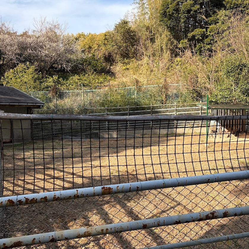 ママ七瀬　あや