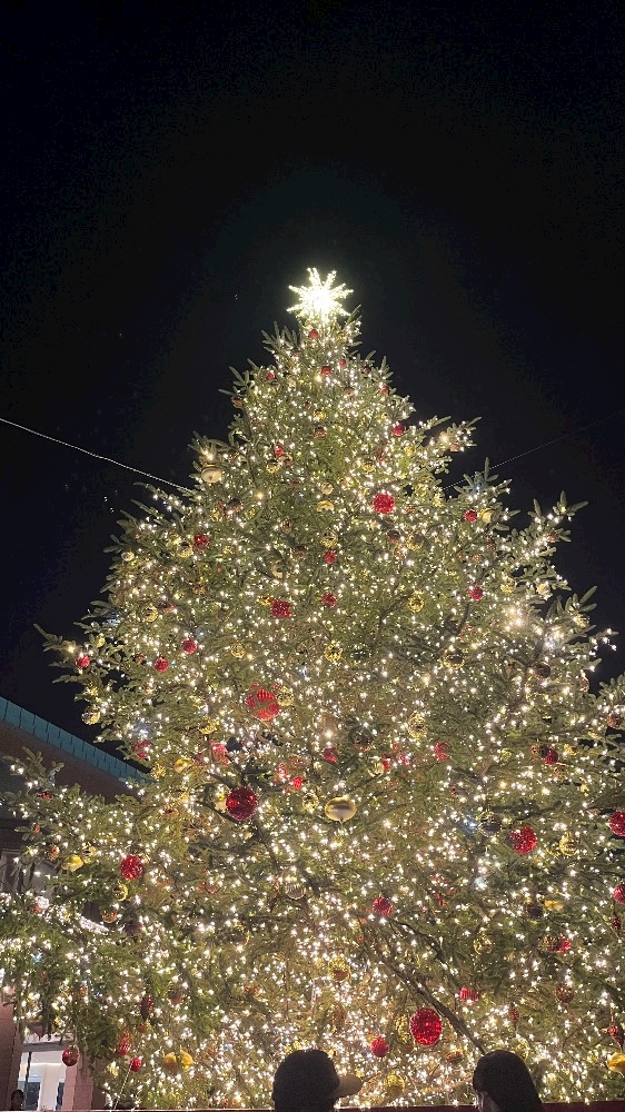 西船橋 VELLUGUE日記1560376