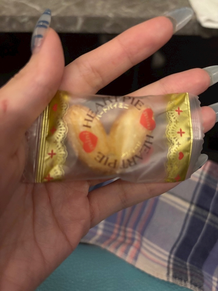 一条 葵