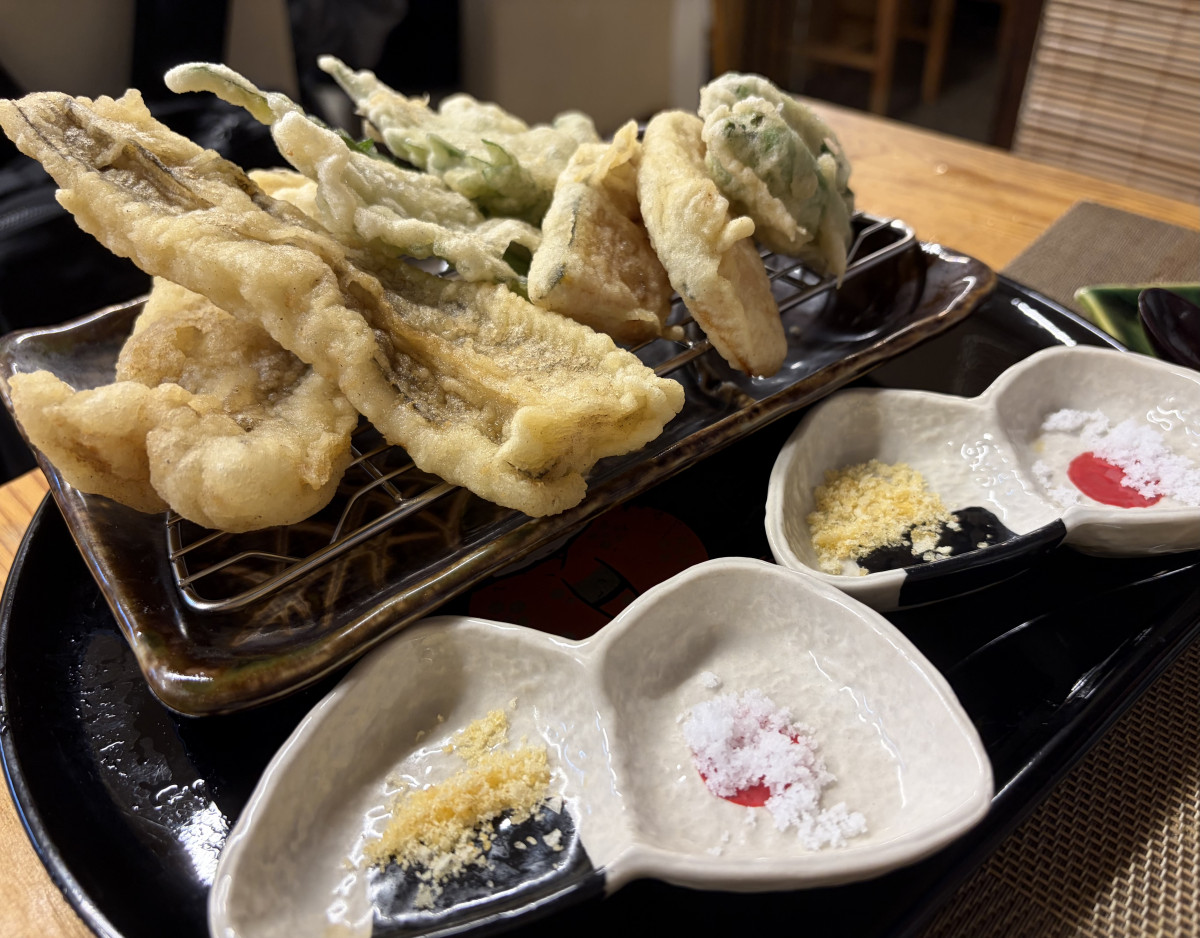 一条 葵