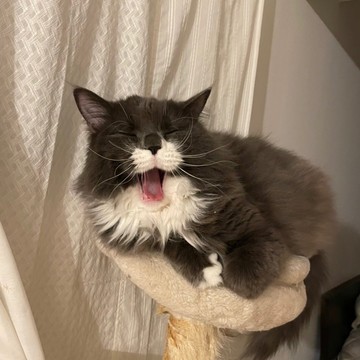 . . . 小次郎しょっ･･･