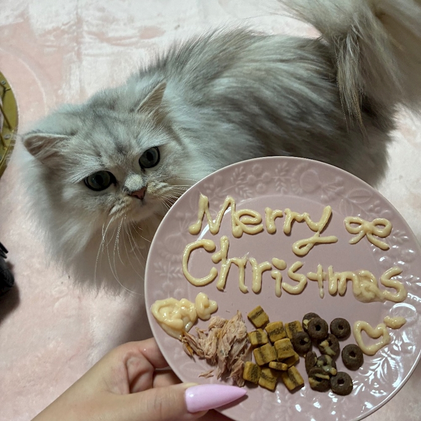 CLUB LUSIA日記1557655