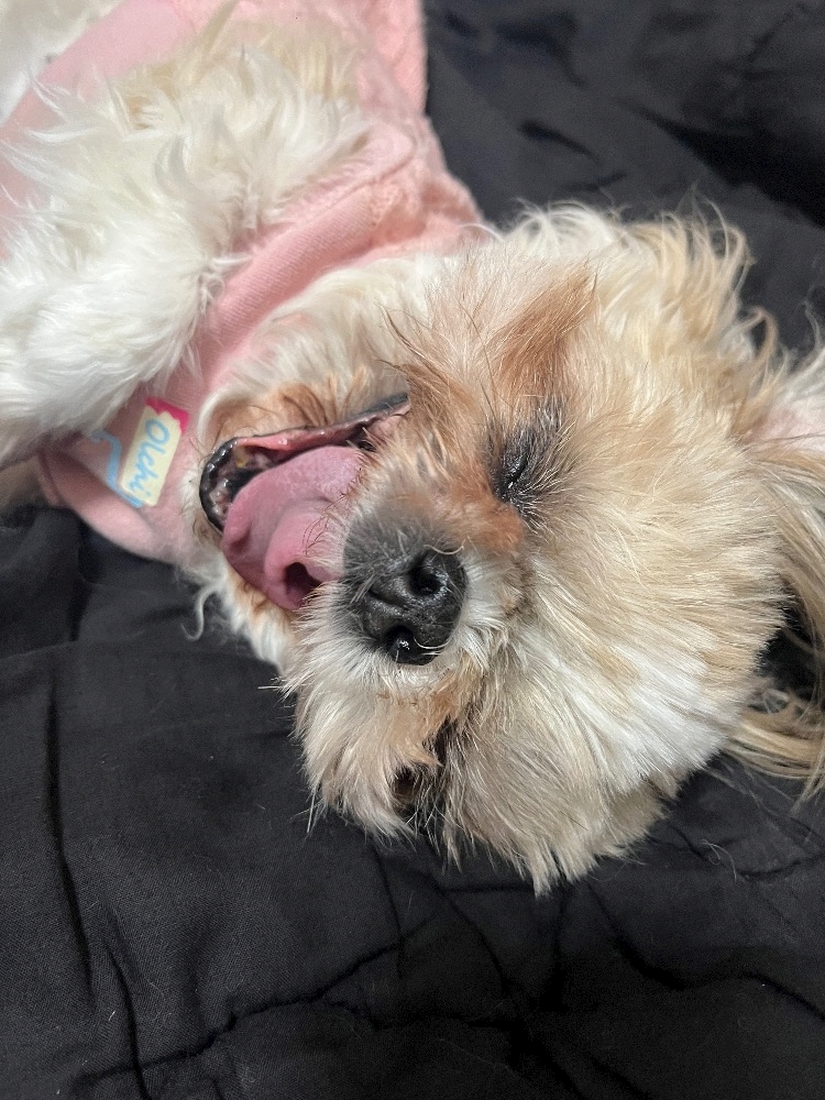 CLUB ONE CHAN -ミナミ心斎橋店-日記1533840