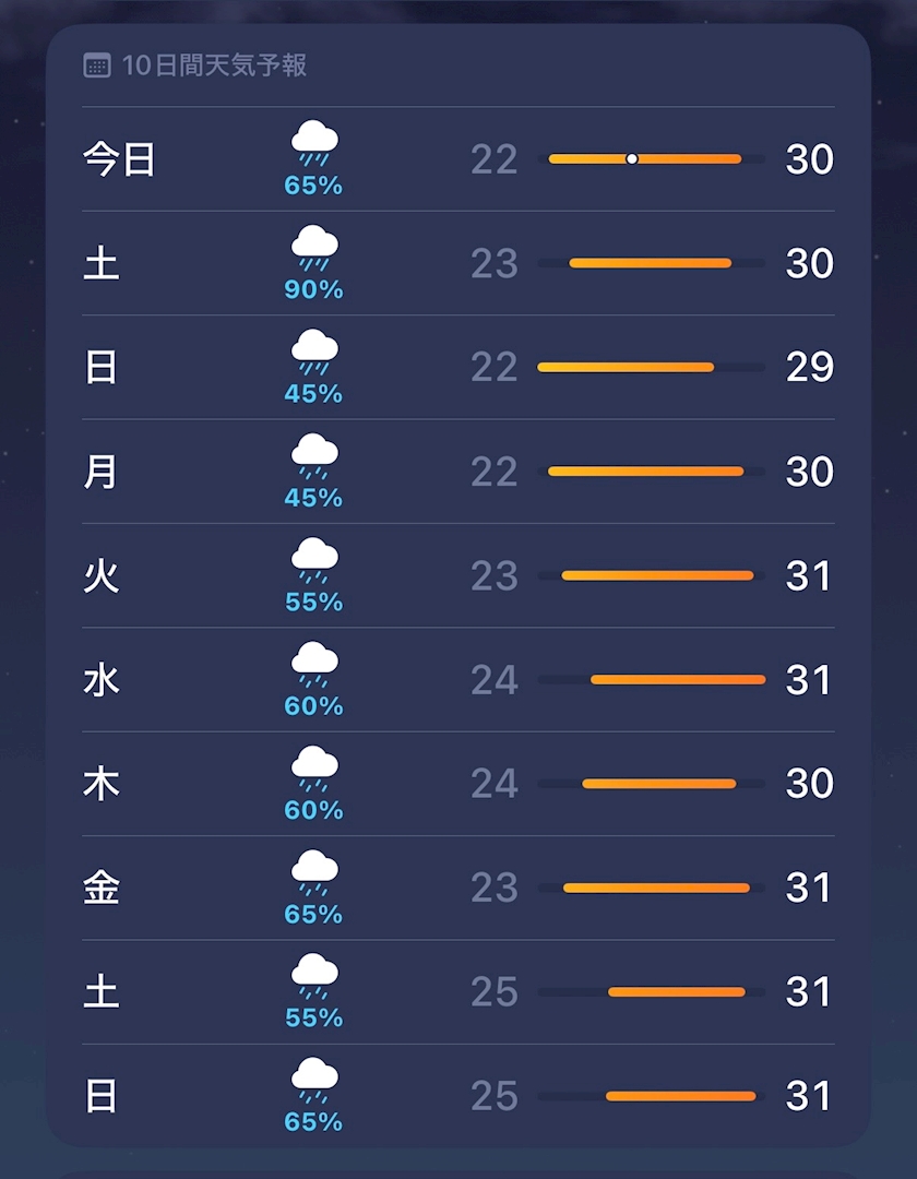 一条 葵