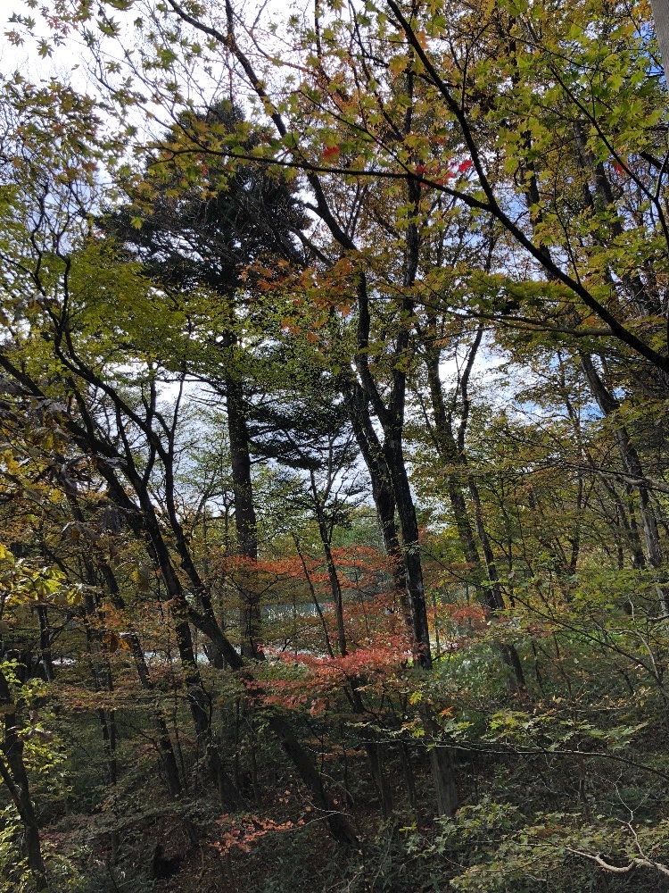 Girl's Bar Asian Doll日記1512162