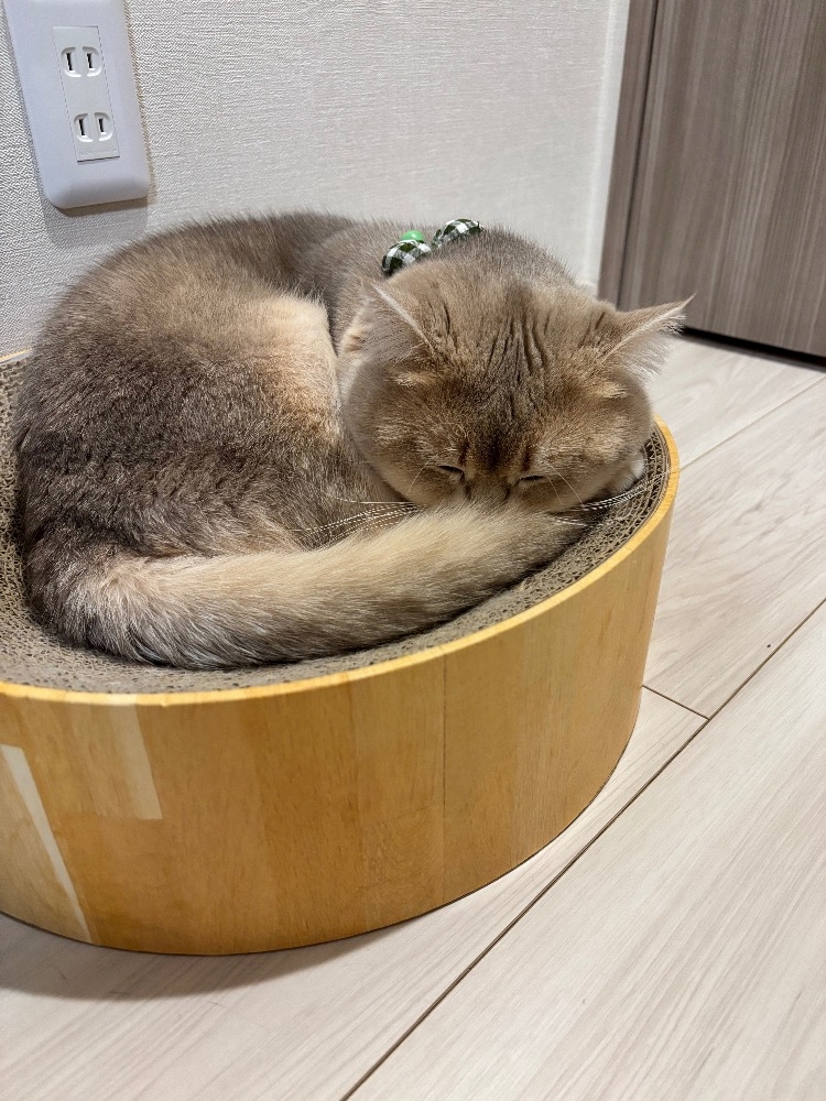 くらぶ色錦日記1602312