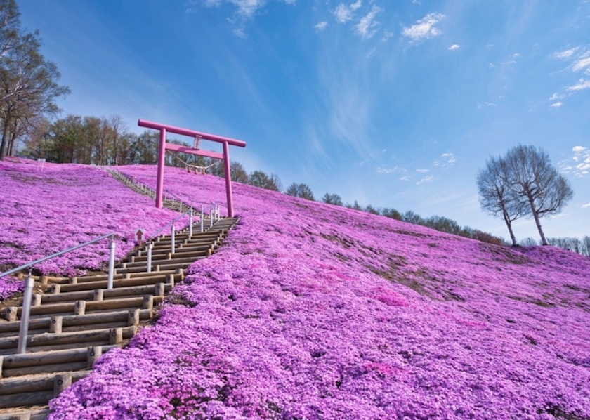 Lounge 暖日記1626910