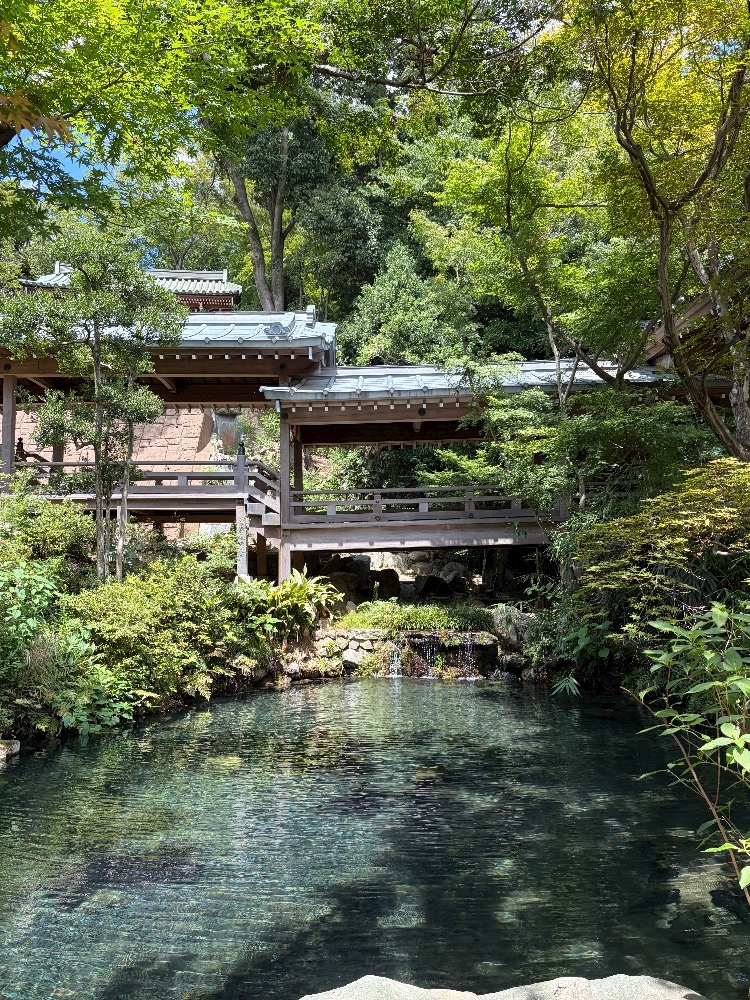 西船橋 VELLUGUE日記1736657
