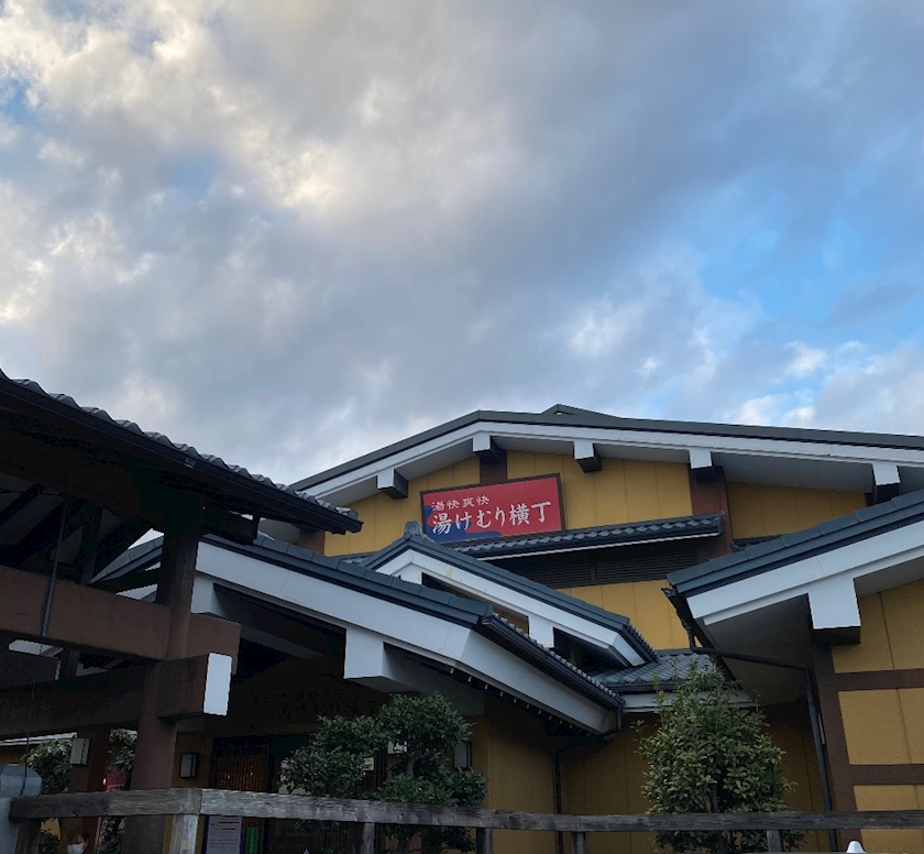 一条 葵