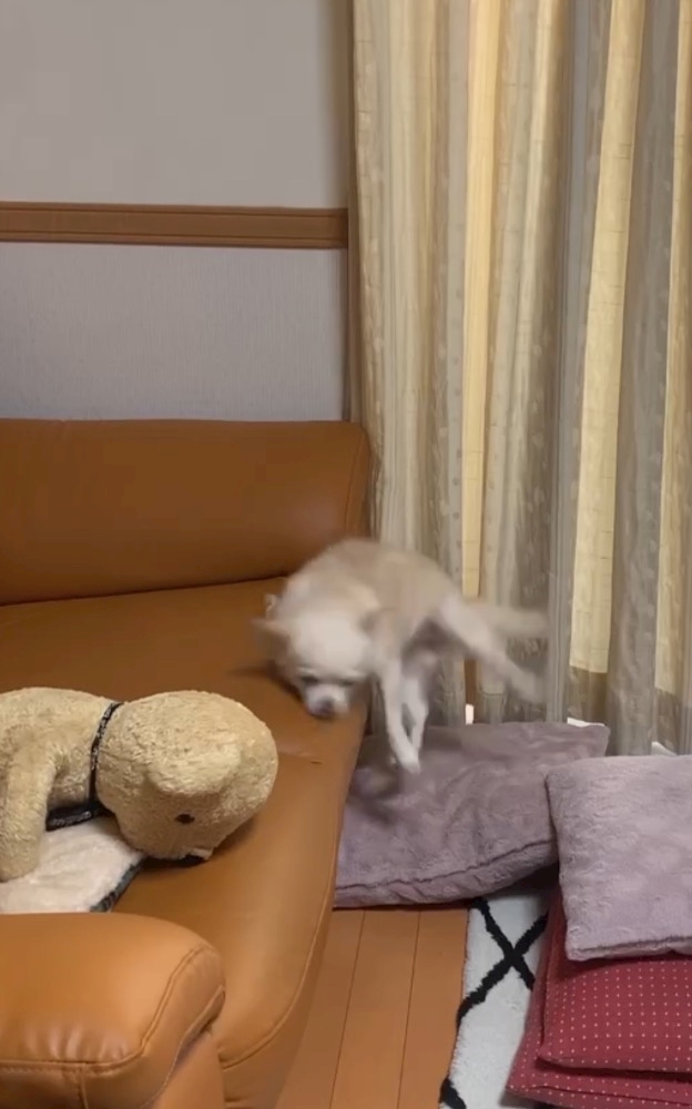 Concafe&Lounge Gilgamesh日記1524876