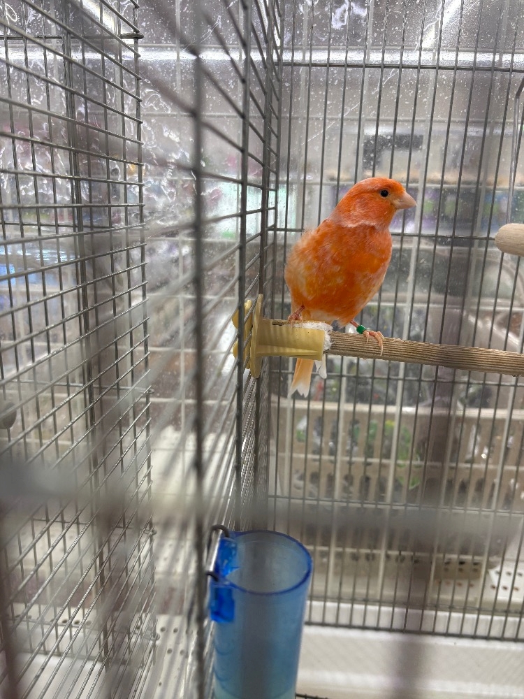 Girlsbar  Last Party日記1633961