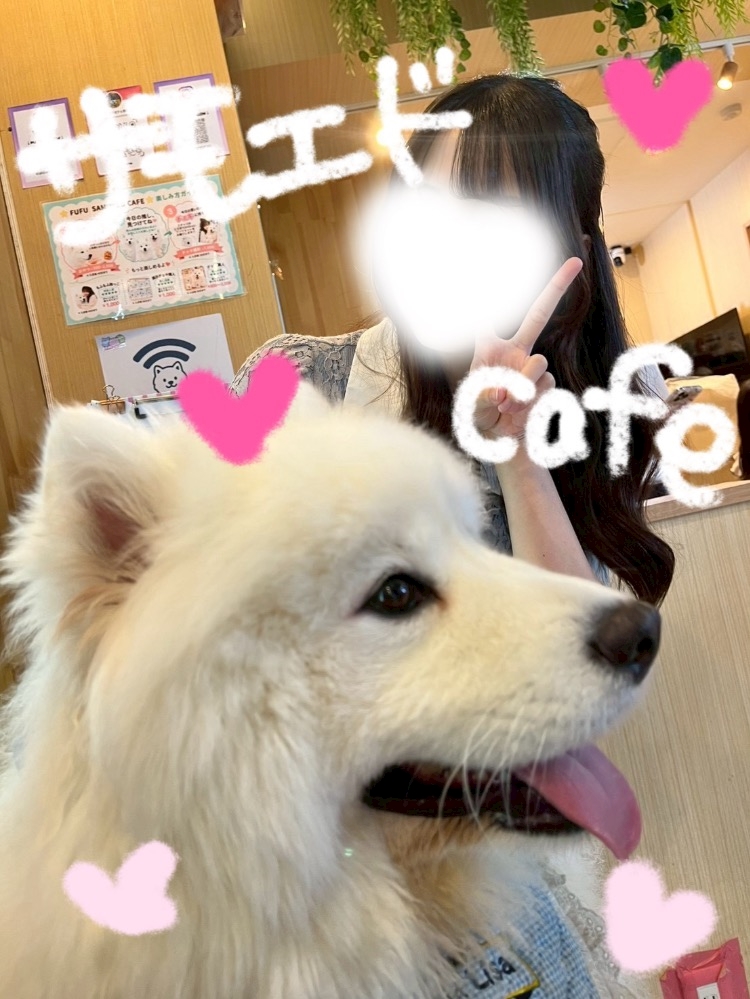 一条 葵