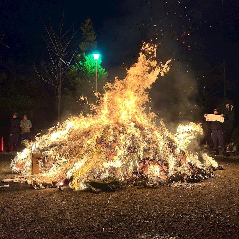 WISTERIA日記1569982