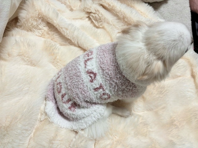 CLUB HANAN 守山店日記1561221