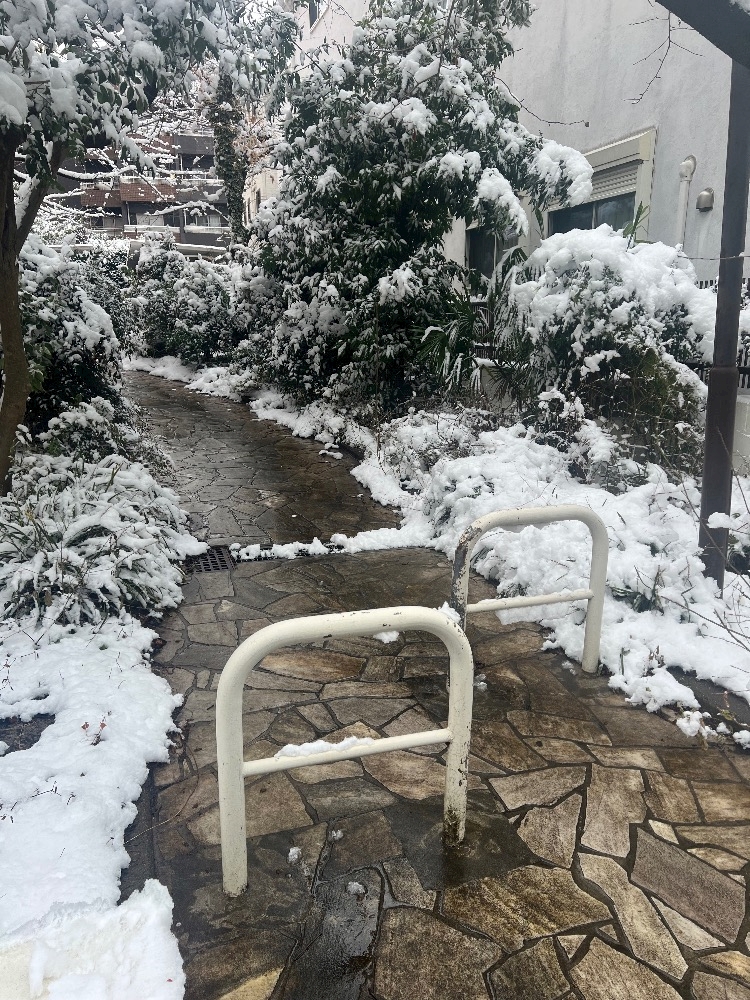 おかえりなさい日記1588476