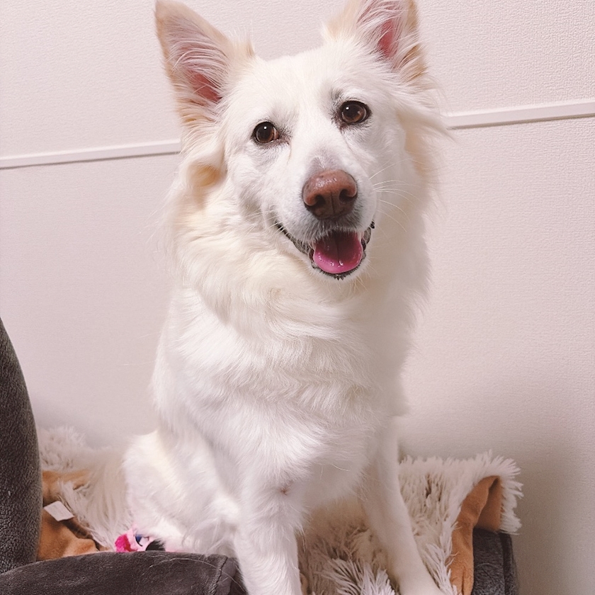 クラブグリム・小牧店日記1622635