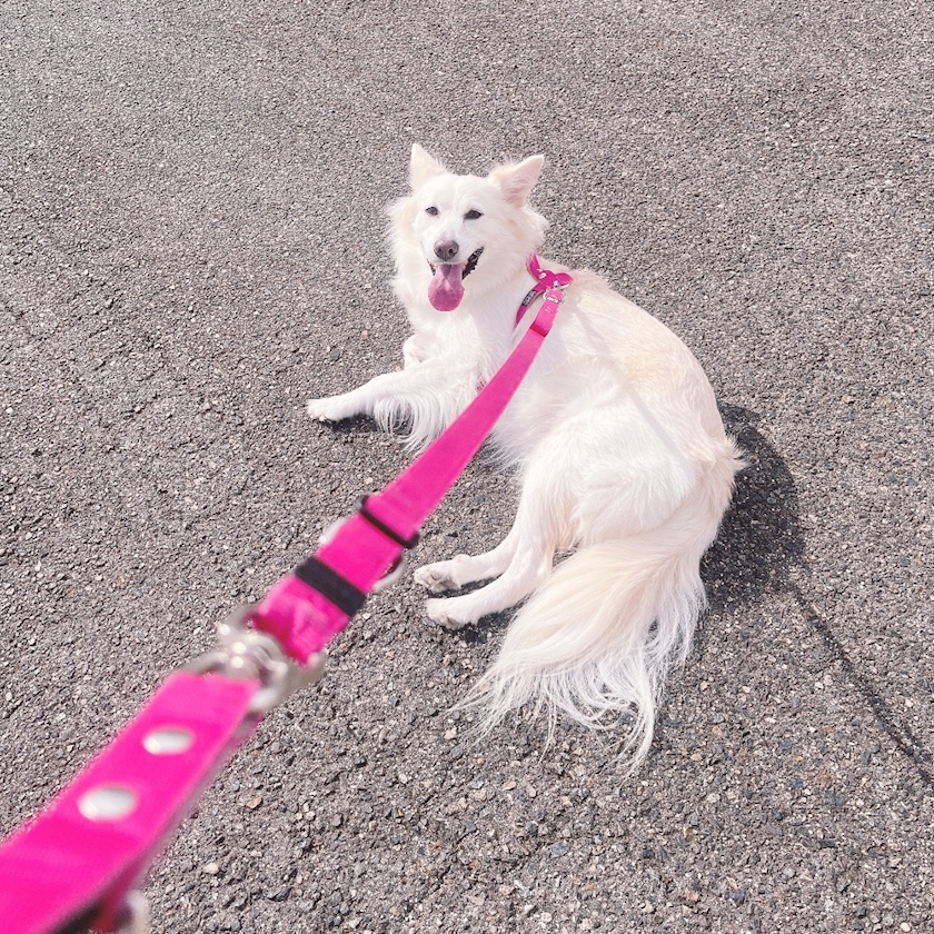 クラブグリム・小牧店日記1516087