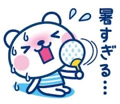 一条 葵