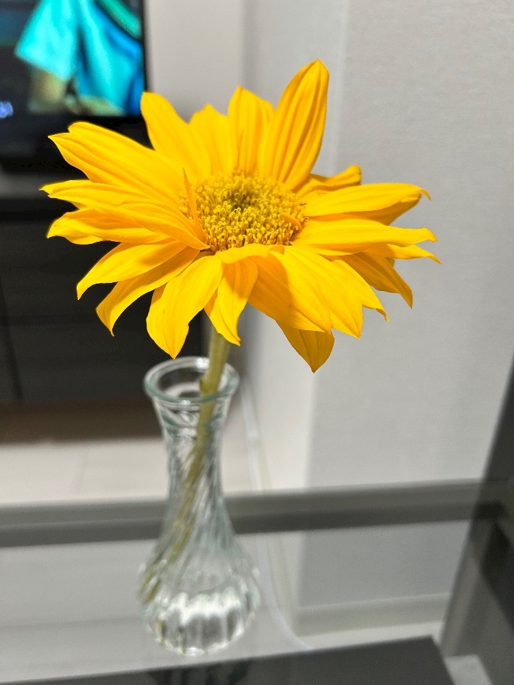 くらぶ色錦日記1622757