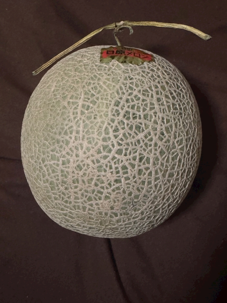 おかえりなさい日記1484783