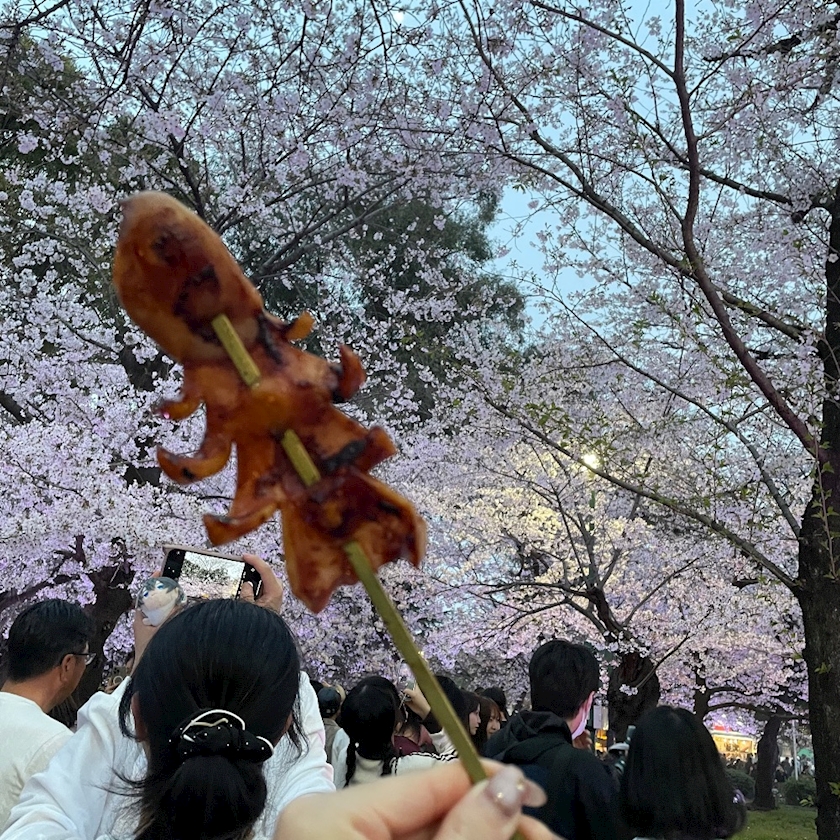 CLUB HANAN ANJO日記1627660