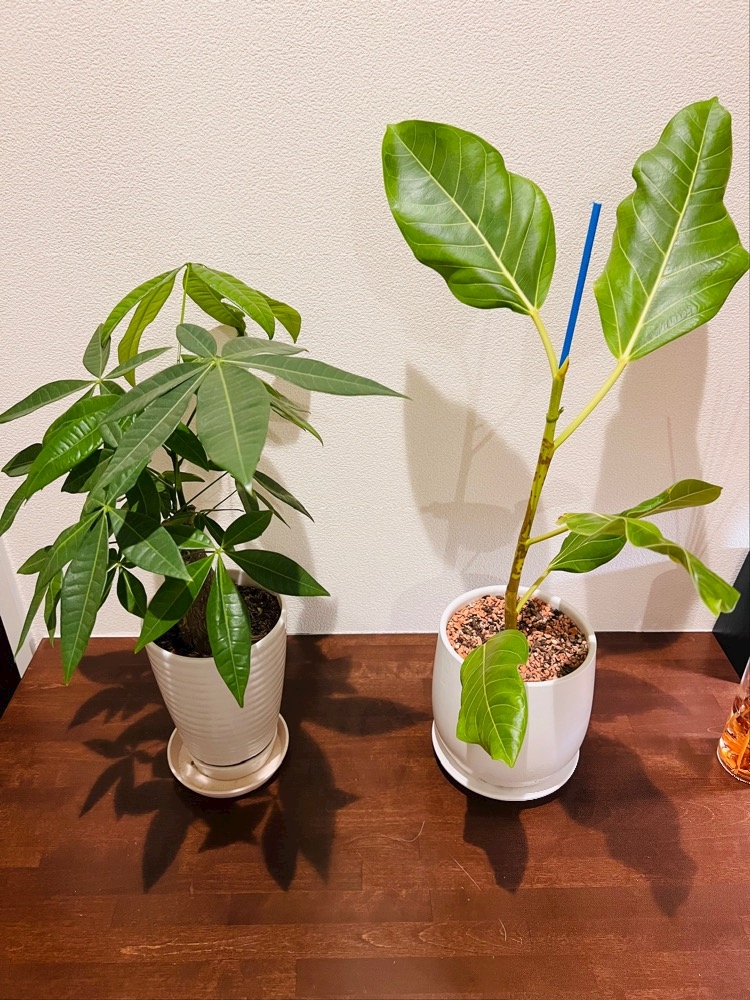 子は親の背中を見て育つ