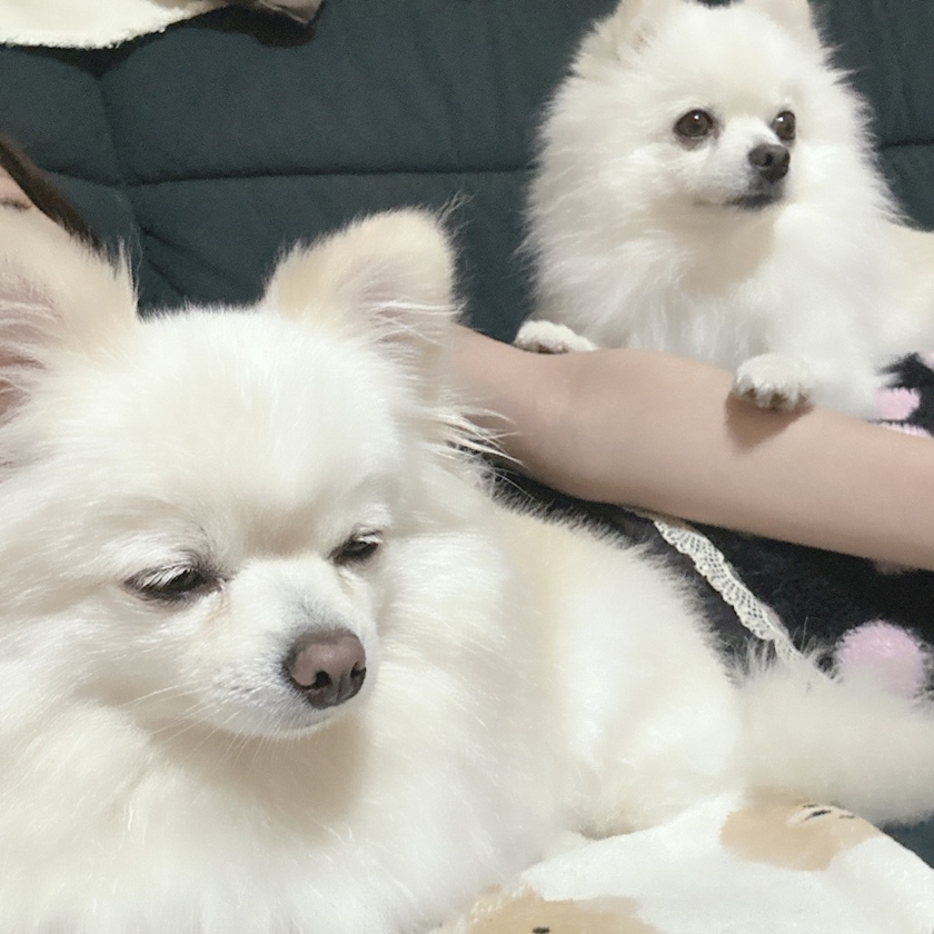 ママ七瀬　あや